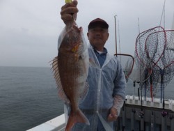 Hit Rush(ヒット ラッシュ） 釣果