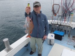 オーシャンキッズ 釣果