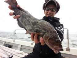 MATSUSHIMA SEANET 釣果