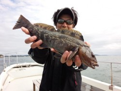 MATSUSHIMA SEANET 釣果