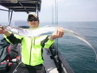 オーシャンマスター 釣果