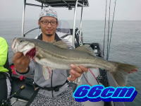 オーシャンマスター 釣果