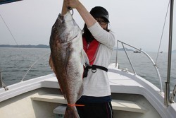 松本釣船２ 釣果