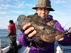 MATSUSHIMA SEANET 釣果