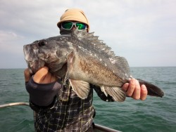 MATSUSHIMA SEANET 釣果