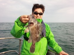 MATSUSHIMA SEANET 釣果