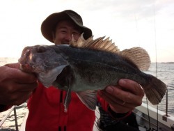 MATSUSHIMA SEANET 釣果