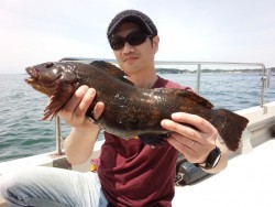 MATSUSHIMA SEANET 釣果