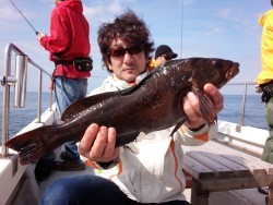 MATSUSHIMA SEANET 釣果