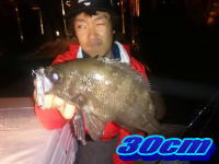 オーシャンマスター 釣果