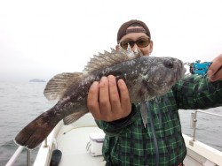 MATSUSHIMA SEANET 釣果