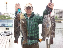 MATSUSHIMA SEANET 釣果