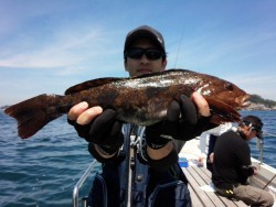 MATSUSHIMA SEANET 釣果