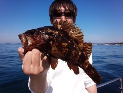 MATSUSHIMA SEANET 釣果