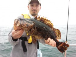 MATSUSHIMA SEANET 釣果