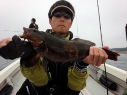 MATSUSHIMA SEANET 釣果