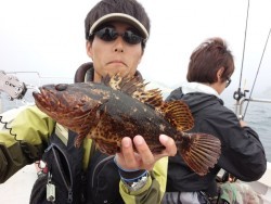 MATSUSHIMA SEANET 釣果