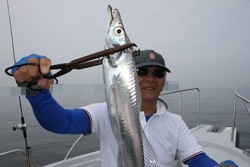 松本釣船２ 釣果