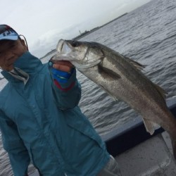 ゲームフィッシング バレントン 釣果