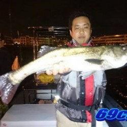 オーシャンマスター 釣果