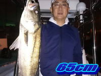 オーシャンマスター 釣果