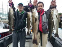 オーシャンマスター 釣果