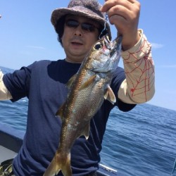 ゲームフィッシング バレントン 釣果