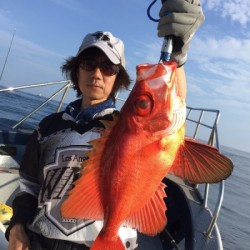 ゲームフィッシング バレントン 釣果