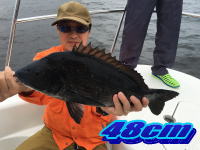 オーシャンマスター 釣果