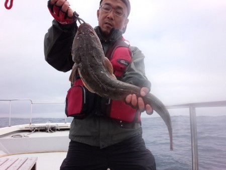 Fishing guide かわい 釣果