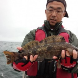 Fishing guide かわい 釣果