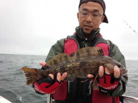 Fishing guide かわい 釣果