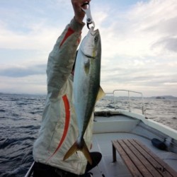 Fishing guide かわい 釣果