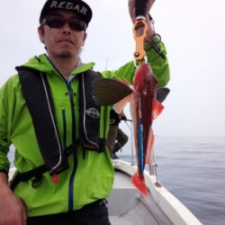 MATSUSHIMA SEANET 釣果