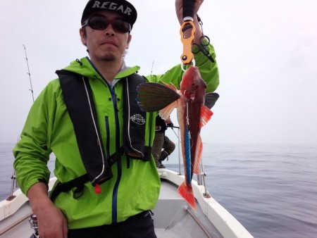 MATSUSHIMA SEANET 釣果