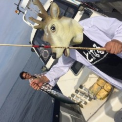 ゲームフィッシング バレントン 釣果