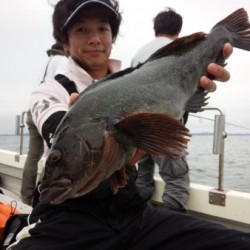 MATSUSHIMA SEANET 釣果