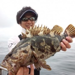 MATSUSHIMA SEANET 釣果