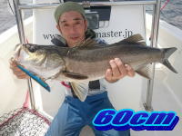オーシャンマスター 釣果