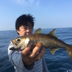 ゲームフィッシング バレントン 釣果