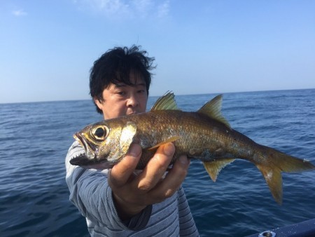 ゲームフィッシング バレントン 釣果