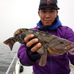 MATSUSHIMA SEANET 釣果