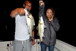 Marine T Design　マリンティ…