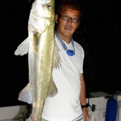 Marine T Design　マリンティーデザイン 釣果