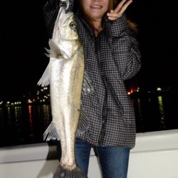 Marine T Design　マリンティーデザイン 釣果