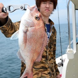 Marine T Design　マリンティーデザイン 釣果