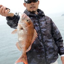 Marine T Design　マリンティーデザイン 釣果