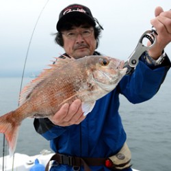 Marine T Design　マリンティーデザイン 釣果