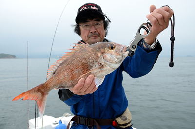 Marine T Design　マリンティ…