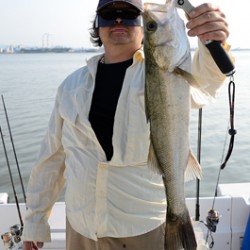 Marine T Design　マリンティーデザイン 釣果